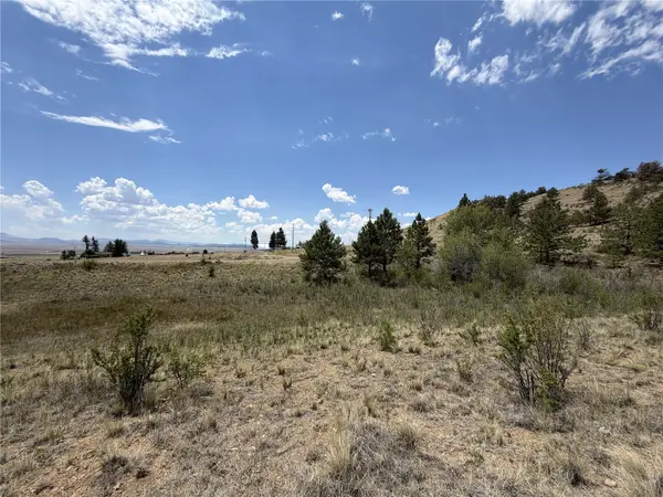 0 Trout Street, Hartsel, CO 80449