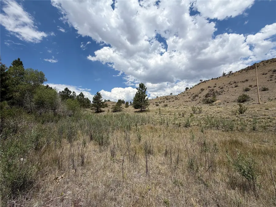 0 Trout Street, Hartsel, CO 80449 - #3