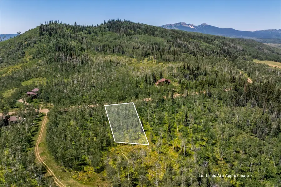 26770 Willow Gulch, Clark, CO 80428 - #2