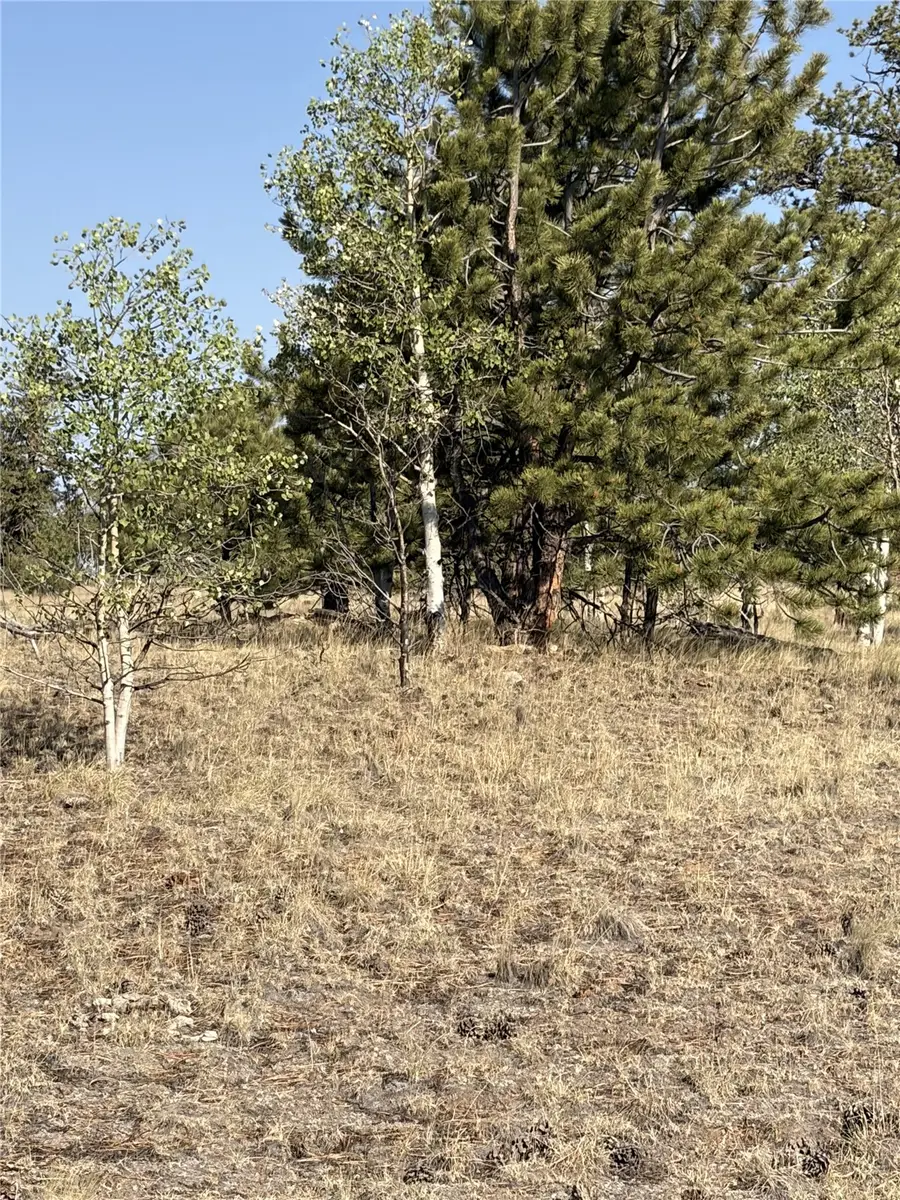 3031 Mcdowell Drive, Como, CO 80432 - #3