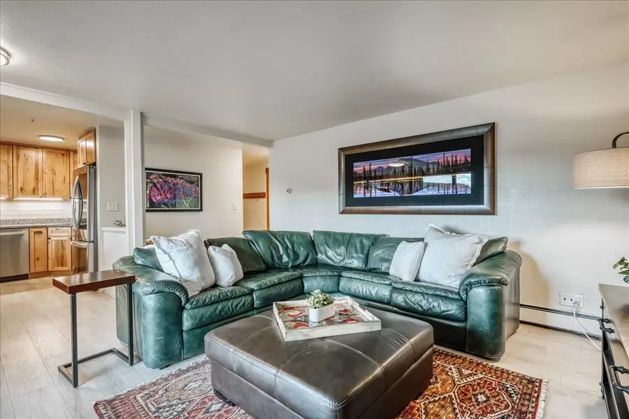 365 Salt Lick Circle #365, Silverthorne, CO 80498 - #2