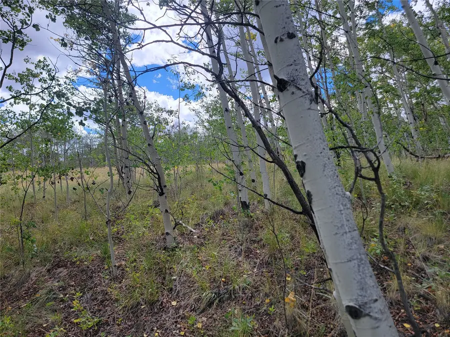 3130 High Creek Road, Fairplay, CO 80440 - #2