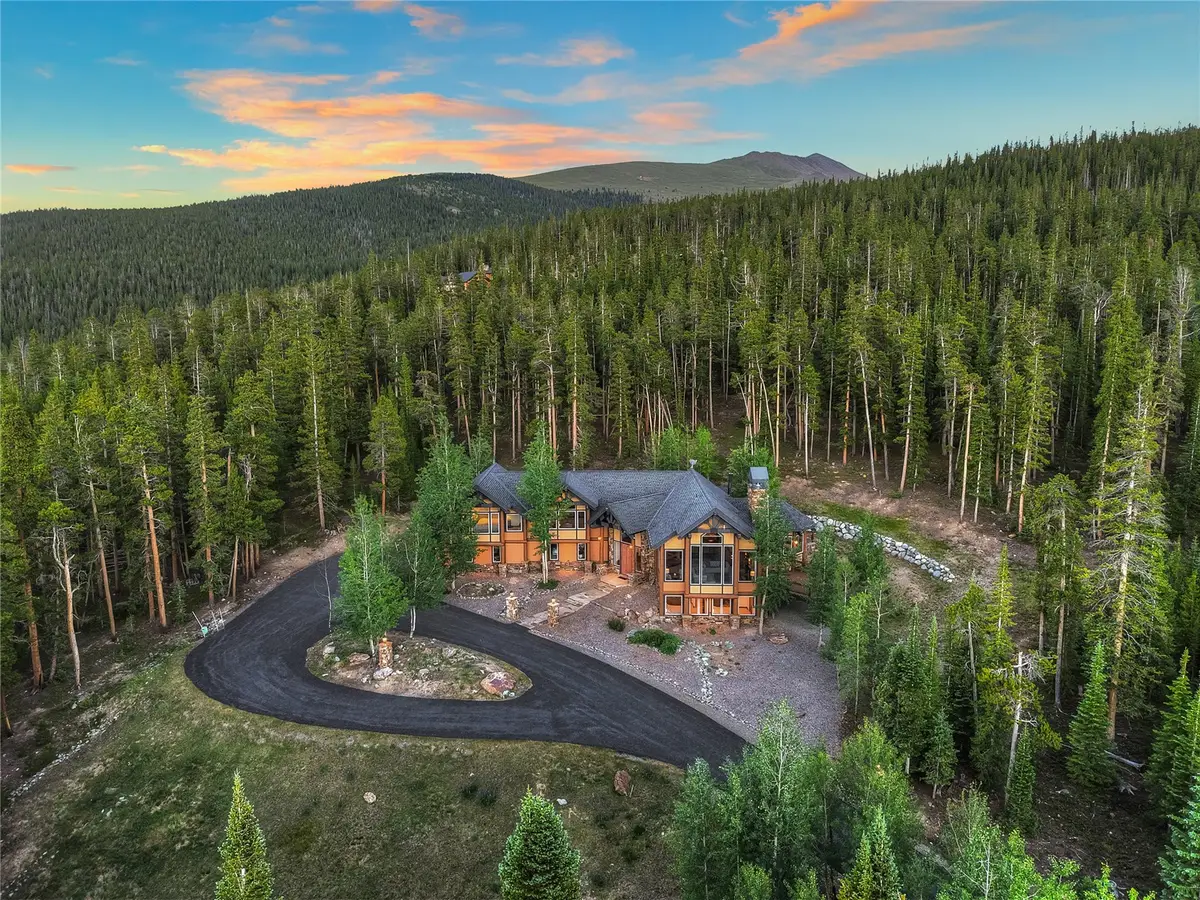264 Little Sallie Barber Trail, Breckenridge, CO 80424 - #1