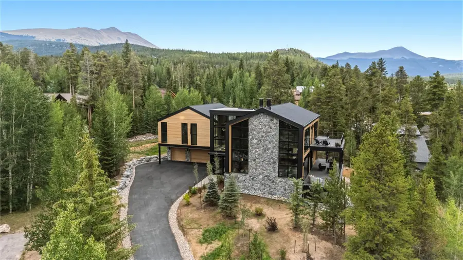 212 Wellington Road, Breckenridge, CO 80424 - #2