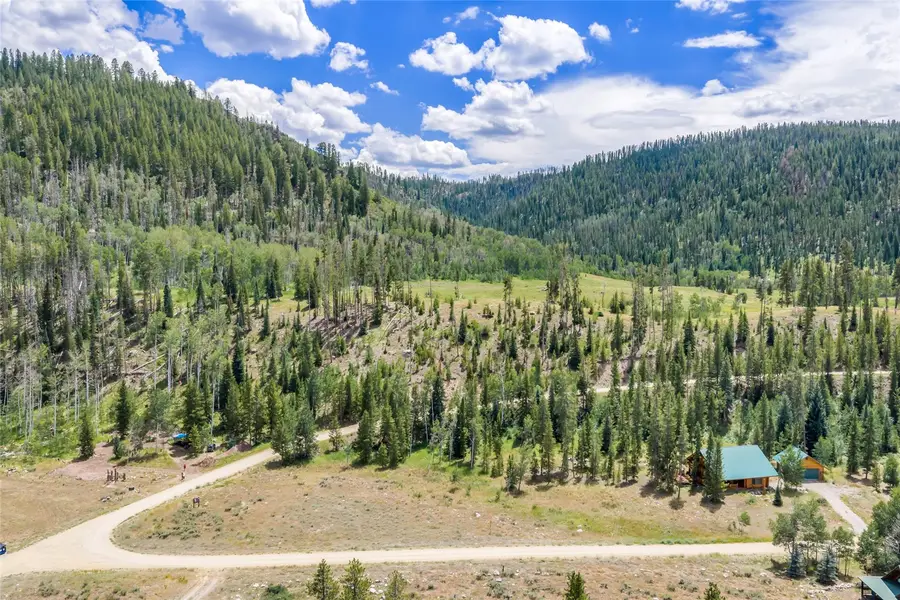 29395 Owl Drive, Clark, CO 80428 - #2