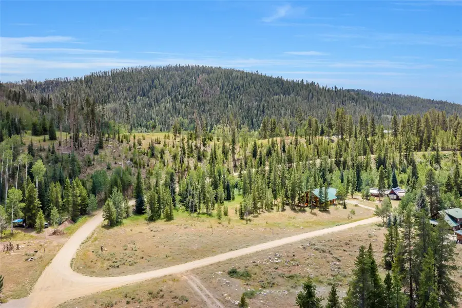 29395 Owl Drive, Clark, CO 80428 - #3