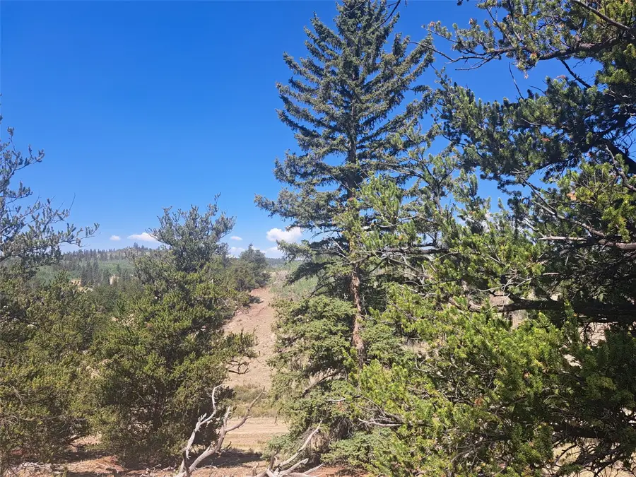 481 Ramrod Way, Como, CO 80432 - #2