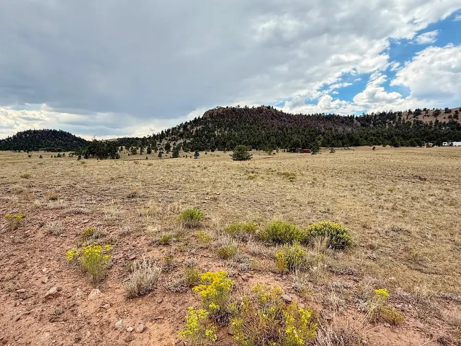 00000 Cherokee Trail, Hartsel, CO 80449 - #2
