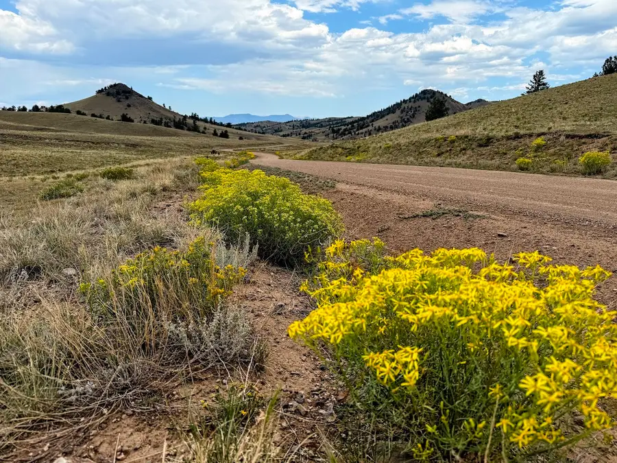 00000 Cherokee Trail, Hartsel, CO 80449 - #3