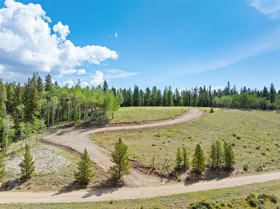 422 Rollies Trail, Fairplay, CO 80440 - #2
