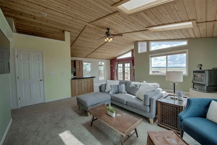 119 Bristlecone Lane, Fairplay, CO 80440 - #3