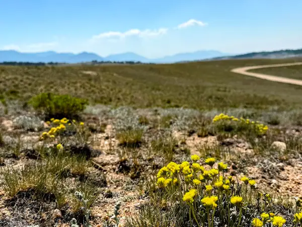 609 Commanche Trail, Hartsel, CO 80449