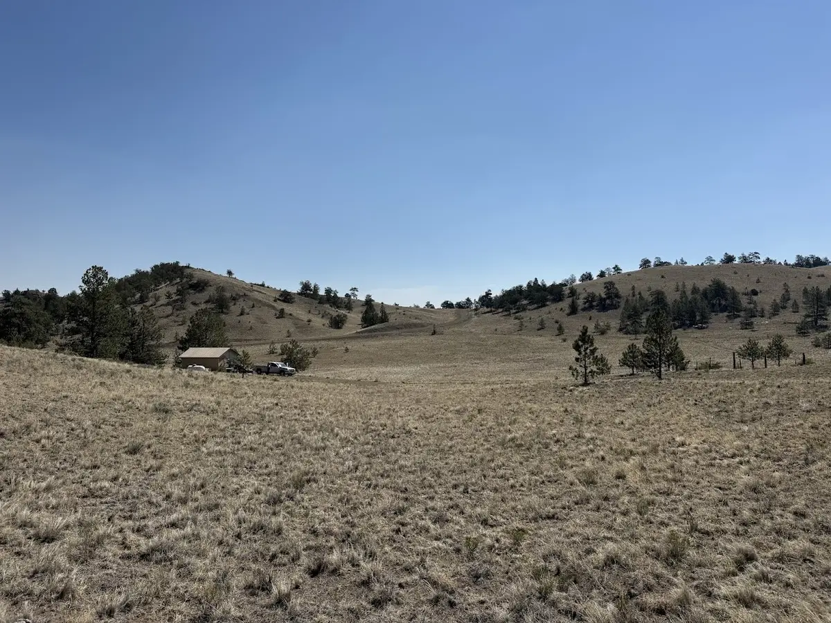 0000 Falcon Road, Hartsel, CO 80449 - #1