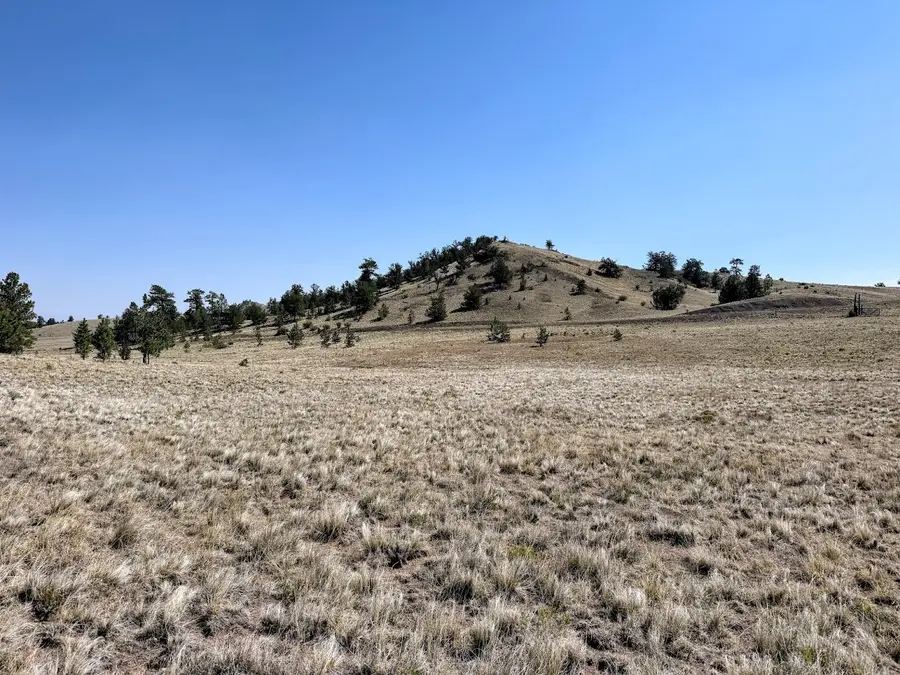 0000 Falcon Road, Hartsel, CO 80449 - #2