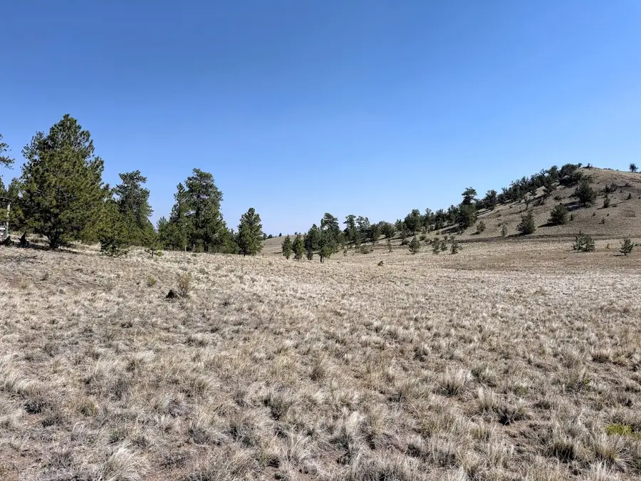0000 Falcon Road, Hartsel, CO 80449 - #3