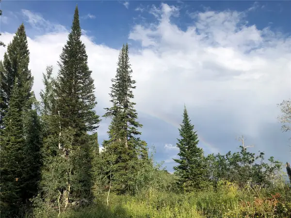 TBD Beaver Canyon Drive, Clark, CO 80428