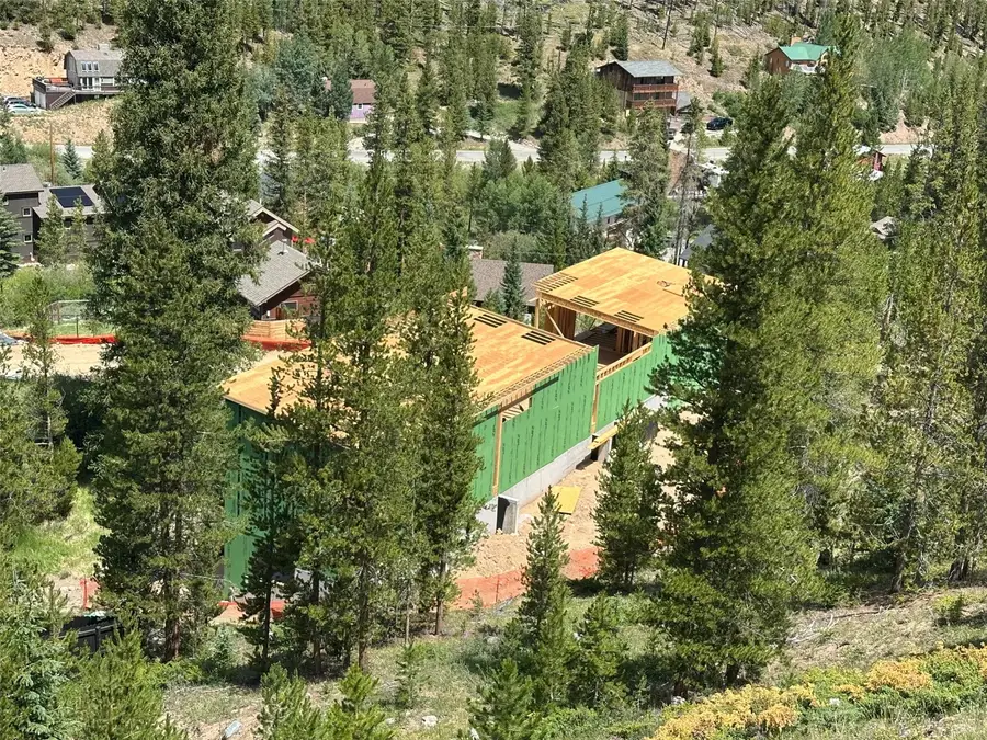 724 Blue Ridge Road, Breckenridge, CO 80424 - #2