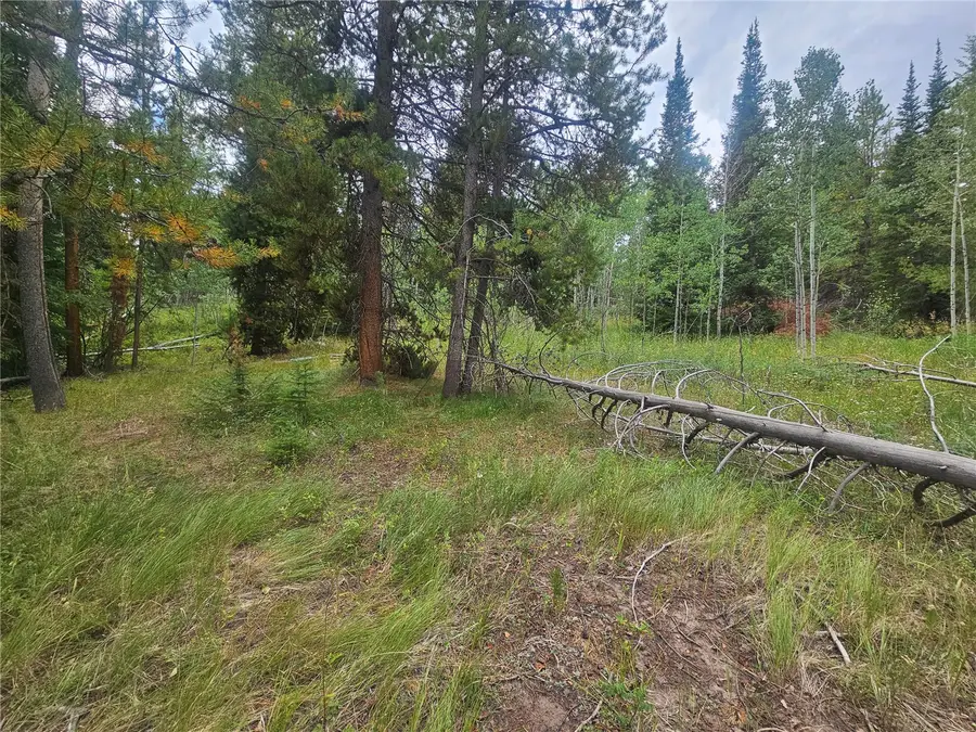 20885 Pinto Way, Oak Creek, CO 80467 - #3