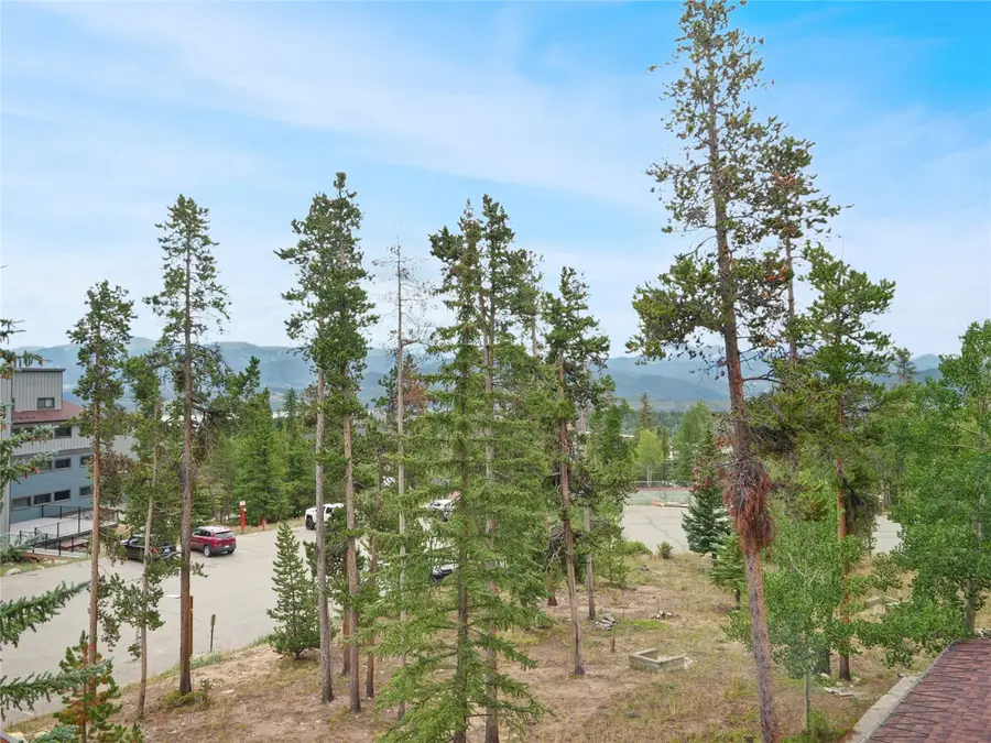 89100 Ryan Gulch Road #301, Silverthorne, CO 80498 - #3