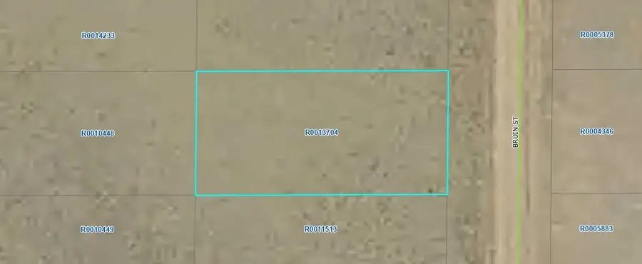 00000 Bruin Street, Hartsel, CO 80449 - #2