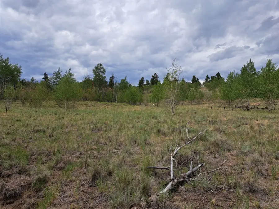 6242 Remington Road, Como, CO 80432 - #3