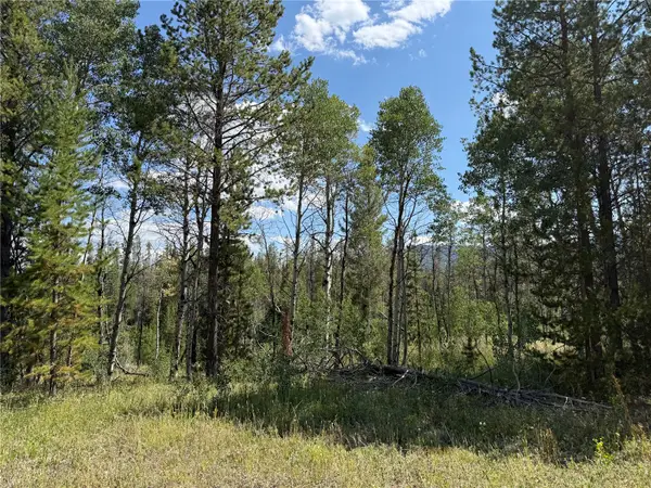 LOT 61 & 62 Big Whip Way, Oak Creek, CO 80467