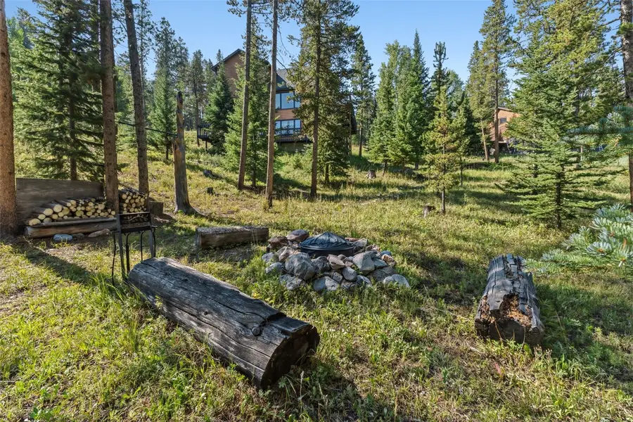 165 Shadows Drive, Breckenridge, CO 80424 - #2