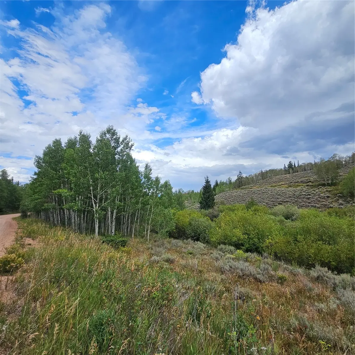 75 County Road 1932, Kremmling, CO 80459 - #1