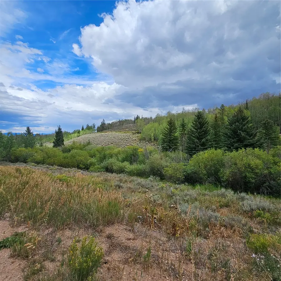 75 County Road 1932, Kremmling, CO 80459 - #2