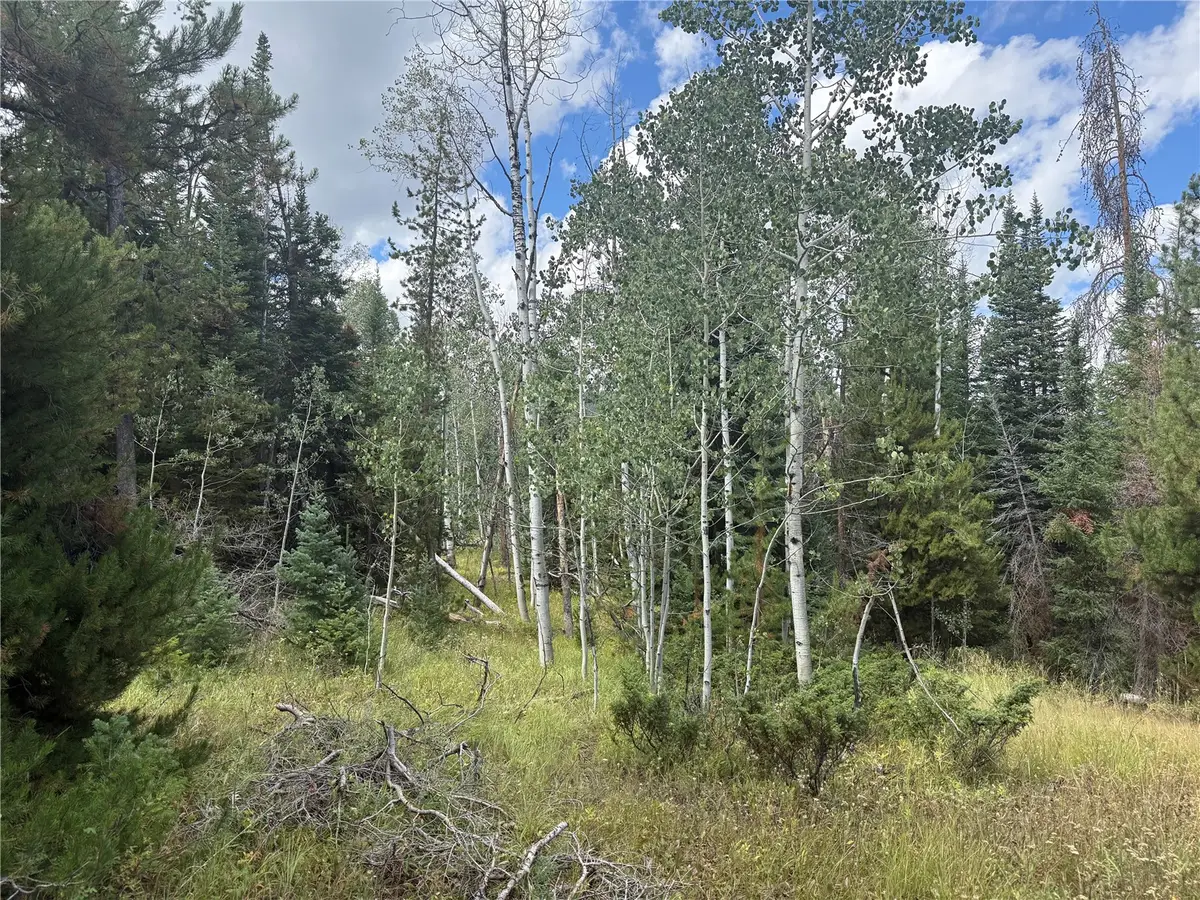 20875 Mustang Way, Oak Creek, CO 80467 - #1