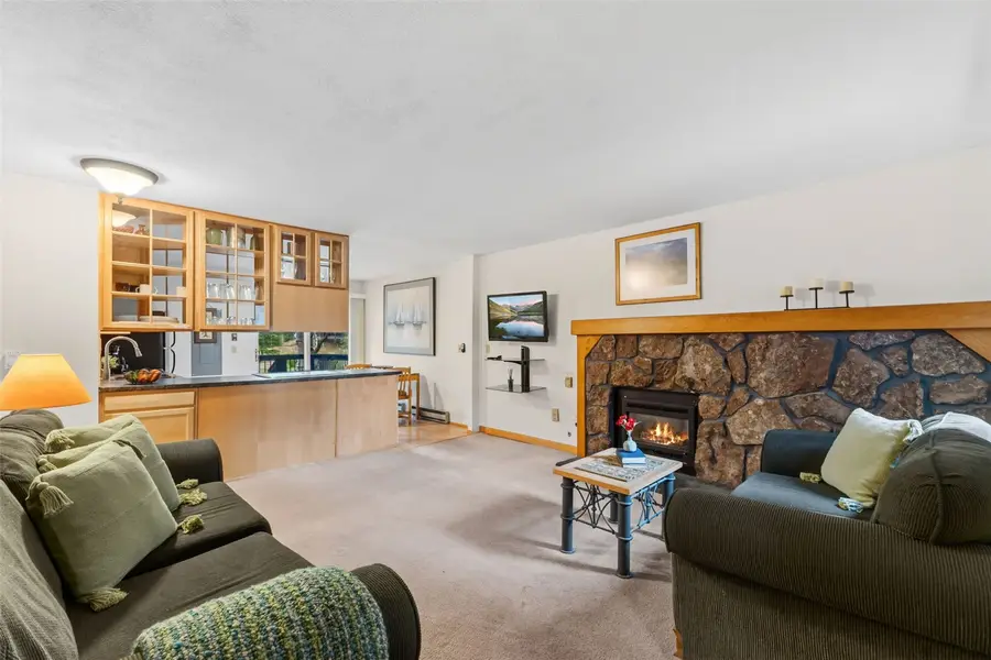 109 Hawn Drive #109, Frisco, CO 80443 - #3