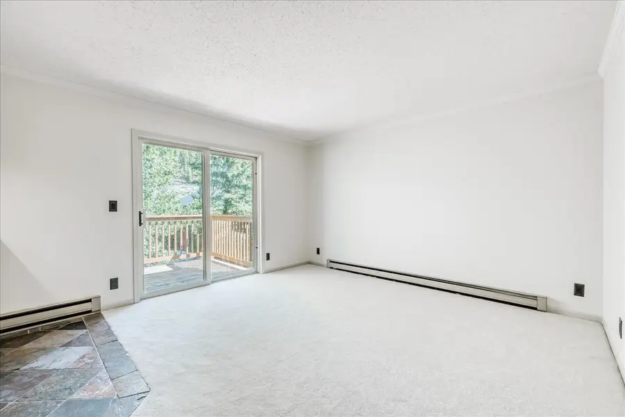 300 Illinois Gulch Road #A210, Breckenridge, CO 80424 - #2