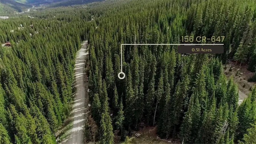 156 Cr 674, Breckenridge, CO 80424 - #2