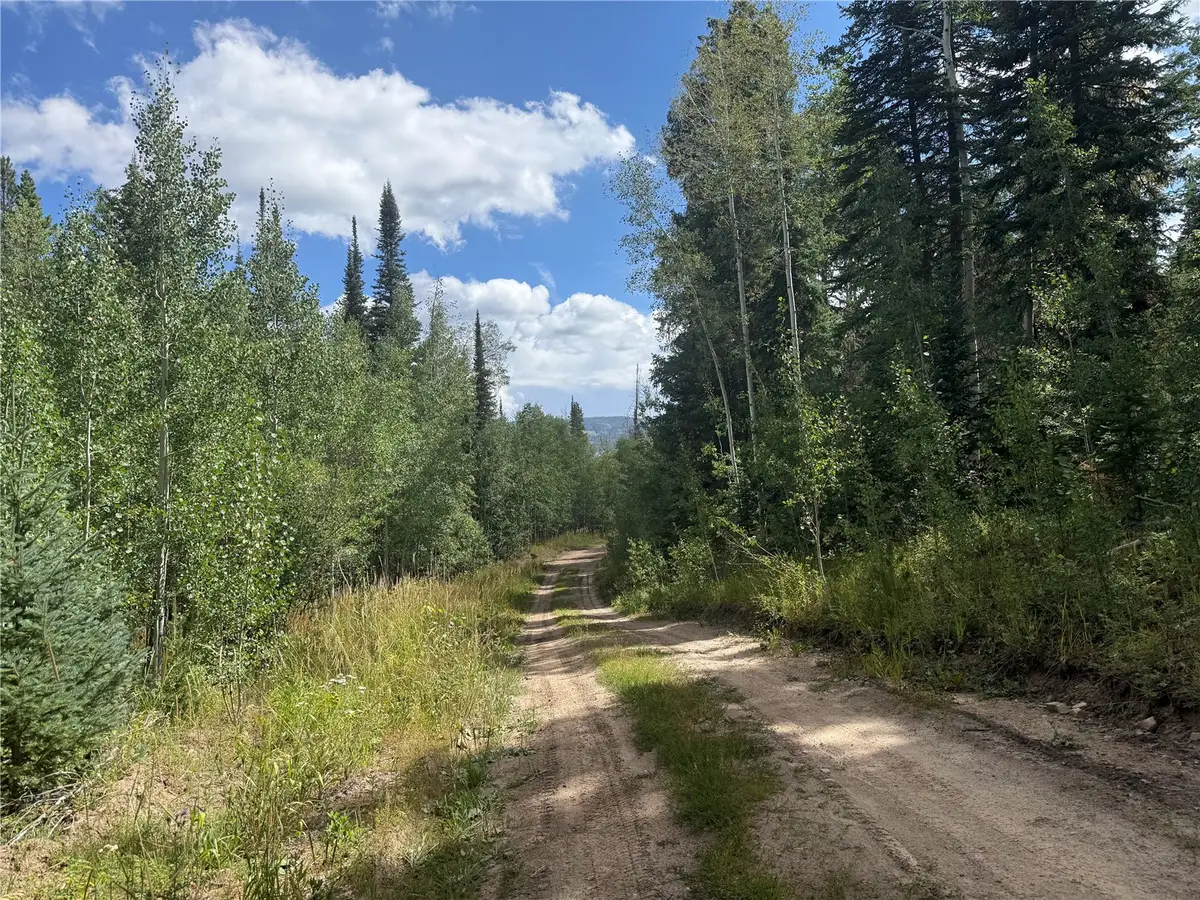 LOT 16 Colt Trail, Oak Creek, CO 80467 - #1