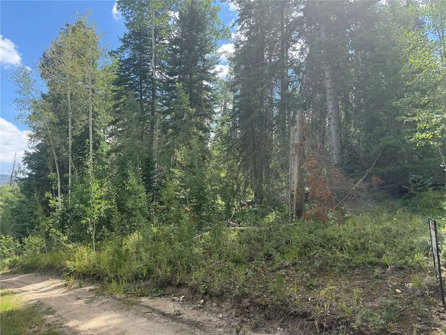 LOT 16 Colt Trail, Oak Creek, CO 80467 - #3