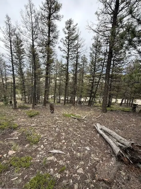 2689 Redhill Road, Frisco, CO 80440