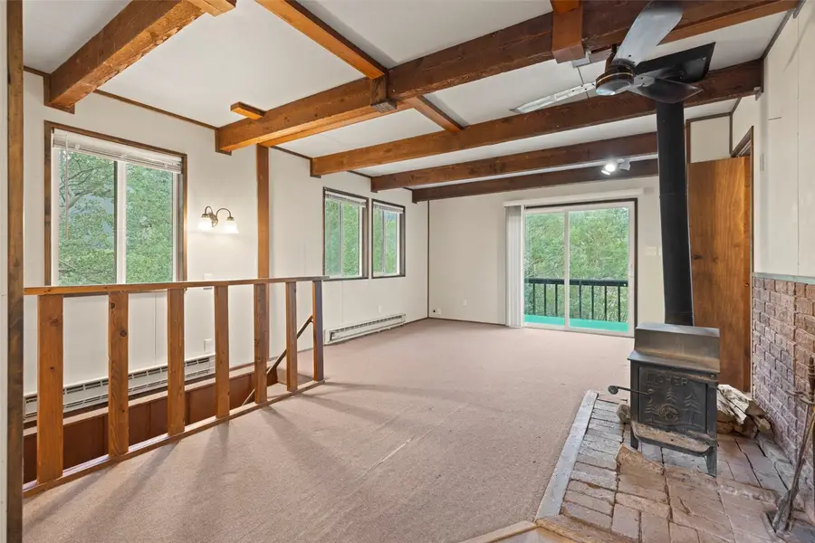 35 Ore Court, Alma, CO 80420 - #2