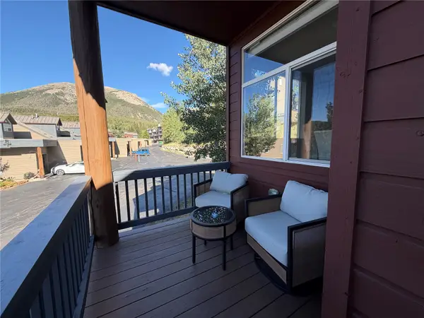 41 Deborah Lane #D, Wildernest, CO 80498