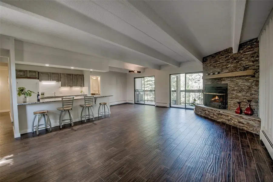 222 Creekside Drive #317, Frisco, CO 80443 - #3