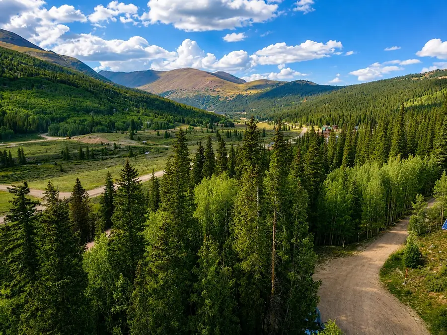 331 Titmouse Drive, Alma, CO 80420 - #3