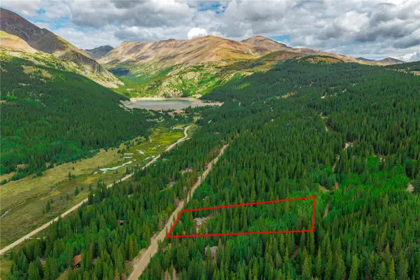 420 Nuthatch Road, Alma, CO 80420