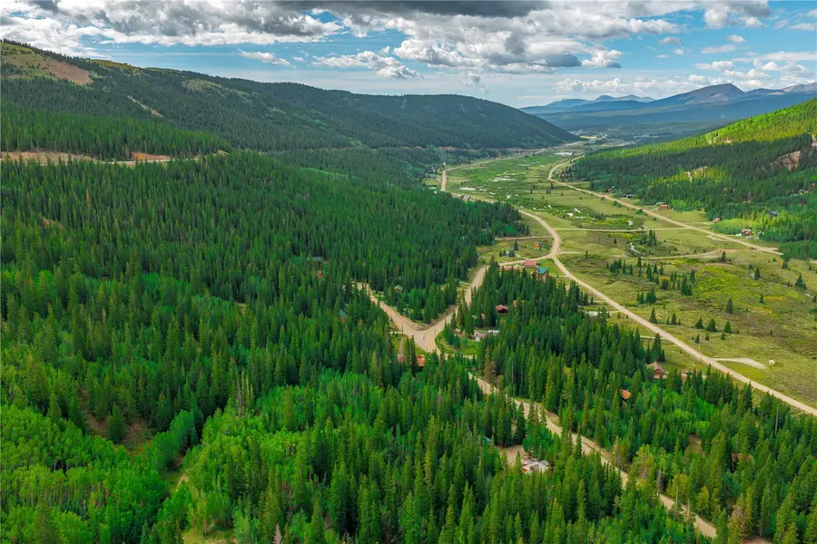 420 Nuthatch Road, Alma, CO 80420 - #2