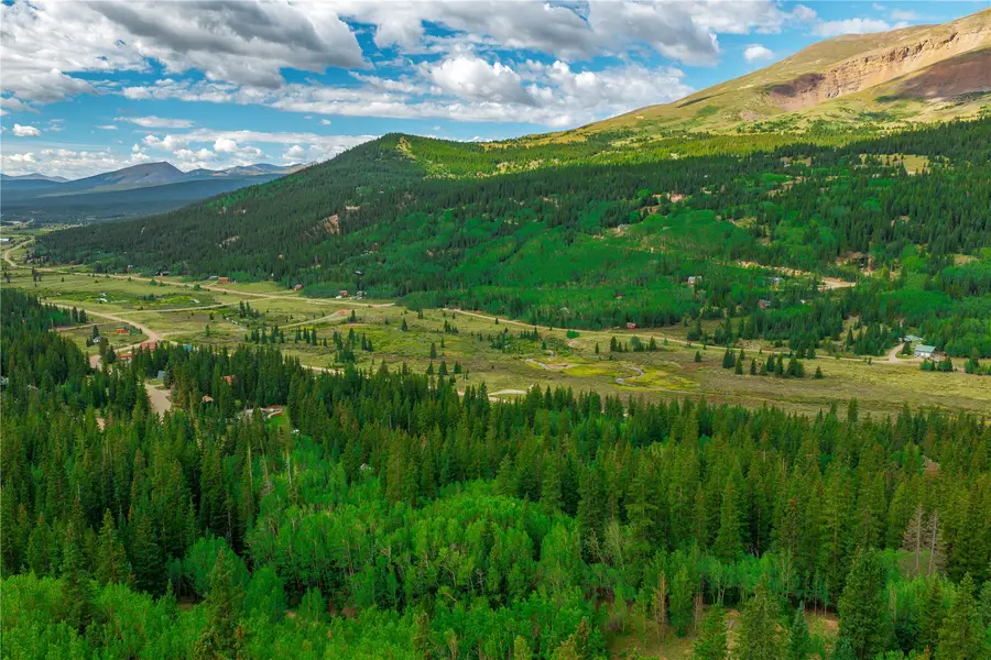 420 Nuthatch Road, Alma, CO 80420 - #3