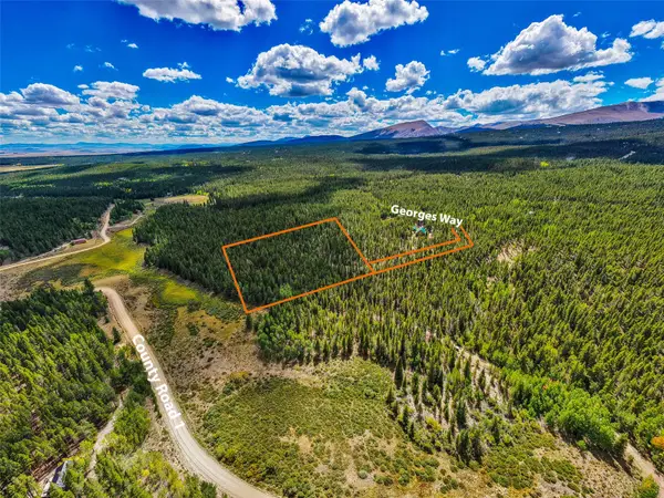 380 Georges Way, Alma, CO 80420