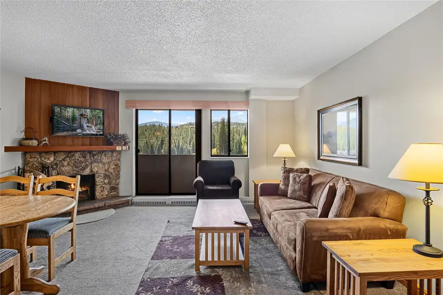 631 Village Road #33390, Breckenridge, CO 80424 - #3