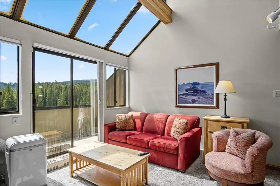 631 Village Road #38420, Breckenridge, CO 80424 - #3