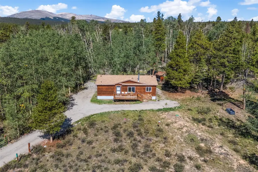 139 Bluestem Court, Fairplay, CO 80440 - #2