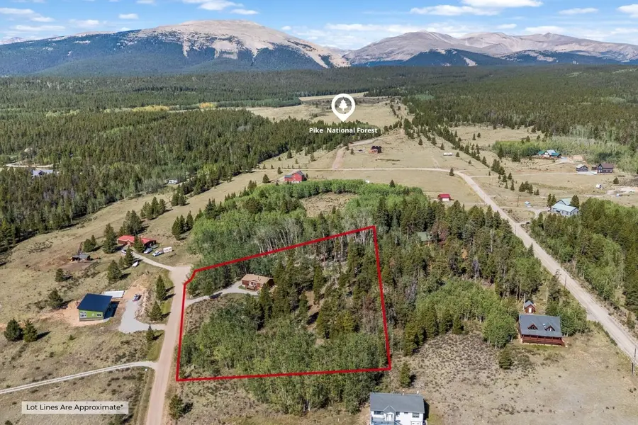 139 Bluestem Court, Fairplay, CO 80440 - #3