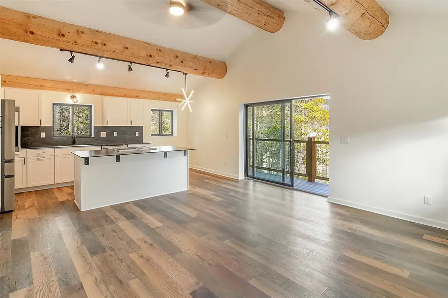 148 Aspen Street, Alma, CO 80420 - #3