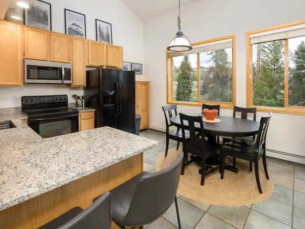 10000 Ryan Gulch Road #312, Wildernest, CO 80498